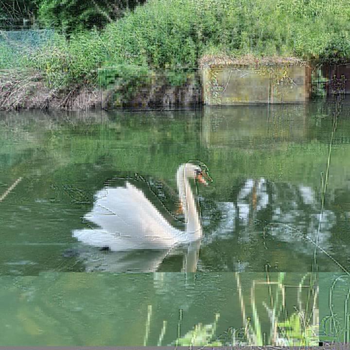 NederweertDe Vliegende Vlinder住宿加早餐旅馆 外观 照片