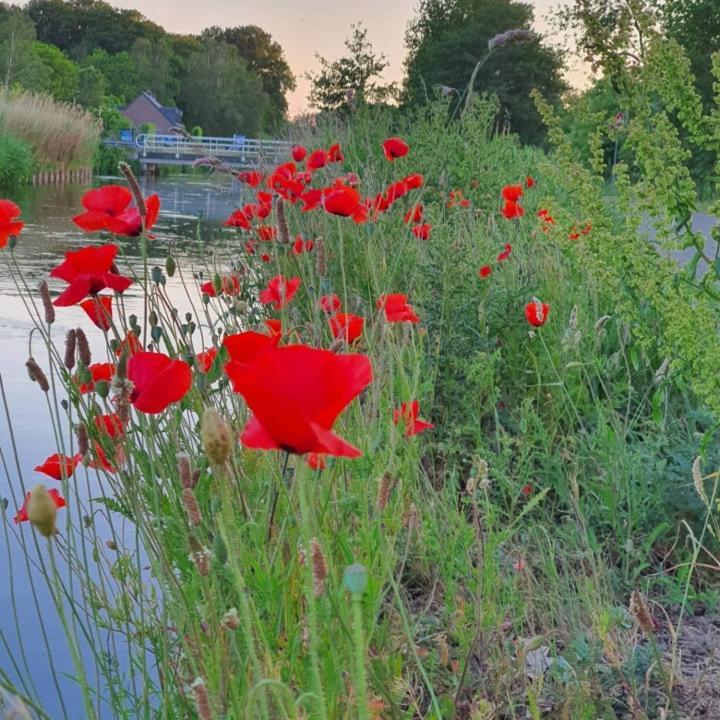 NederweertDe Vliegende Vlinder住宿加早餐旅馆 外观 照片