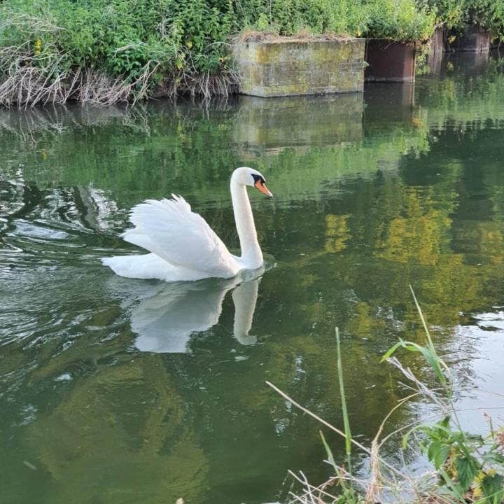 NederweertDe Vliegende Vlinder住宿加早餐旅馆 外观 照片